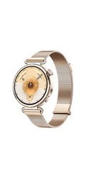 Watch GT 6 41mm (Correa Milanesa)