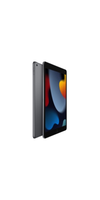 Apple iPad 10.2" (9a gen) 256GB Wi-Fi Gris Espacial, foto 3